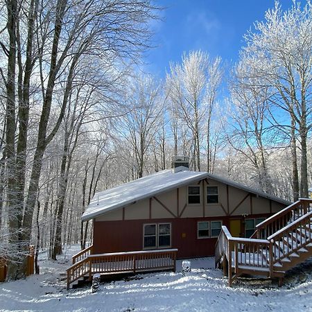 Cozy Cabin With Boosted Wi-Fi Beech Mountain Ngoại thất bức ảnh