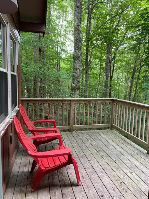 Cozy Cabin With Boosted Wi-Fi Beech Mountain Ngoại thất bức ảnh