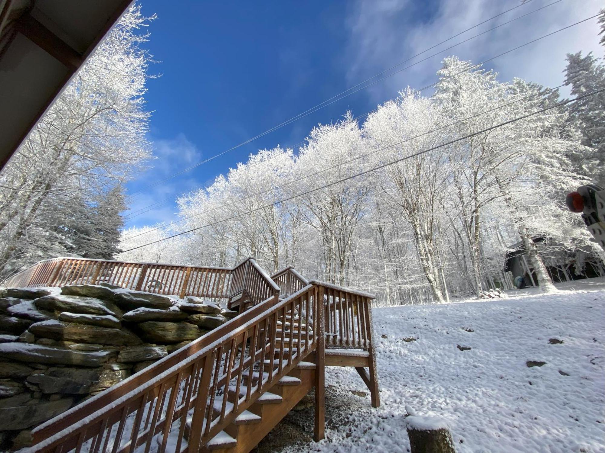 Cozy Cabin With Boosted Wi-Fi Beech Mountain Ngoại thất bức ảnh
